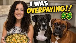 Homemade Dog Food for Large Dogs | Ground Turkey, Brown Rice & Veggies (Budget-Friendly Recipe)
