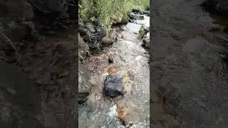 dobo dem in jamshedpur #trending #trendingshorts #viralvideo #jamshedpur #short