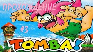 Томба #3 - Путь на гору феникса/ Tomba  #3