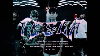 DiSadtion, Jack65, KamiKaze, Daniel Kov - TESLA