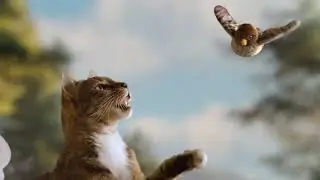 Primal Pet Foods | Cat Tree