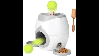 Dog interactive toys