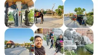 ❤️#LittleJungle #KuwaitZoo #memories #eveVibes #craziness #happy #musttry #fun❤️🥰