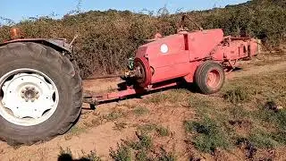 Hoy me acompaña mi hermano Jesús Manuel a hacer alpacas, menudo día, como pa estar a base de ensalás