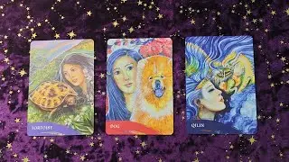 塔羅占卜 | 老天现在要让你做什么？