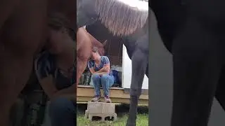 Her horse comforts her 🥹
