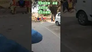 thore se suru dinwa