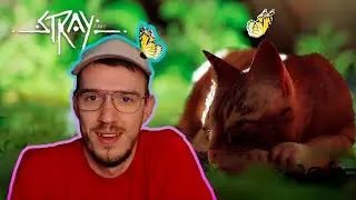 Скорокот и Территория | Stray | 10