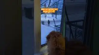 Mom is going to work 😘🥰🤗