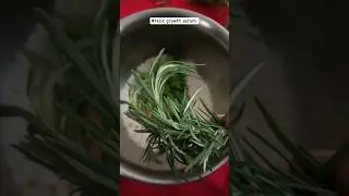 100% Effective Homemade Hair Growth serum/spray | Rosemary water | largest Hair growth 🌿