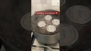 Canning tomatoes 🍅 #southafricanhomesteaders #southafricanfarmers #canning