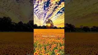 #naturelover#anime ost@h-nature3579 @CelestialLandscapes @MusicHeavenBD @HeavenTuneOfficial