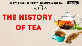 The History of Tea | Slow English Listening Story for Beginners
