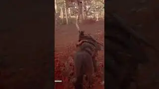 amazing graphic game assassin Creed vallah pc gameplay #ytsort #ubisoft