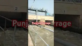 Punjnad Barrage irrigation system #agriculture #irrigation