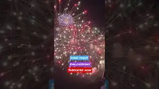 Fireworks over Magic Kingdom! #shorts #waltdisneyworld #magickingdom #evalovesdisney