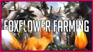 Best Foxflower Farming Tricks and Routes (WoW Gold Guide)