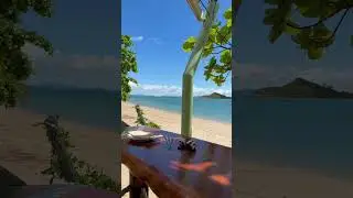 Airlie Beach Part 12 Possibly my favourite beach bar so far
