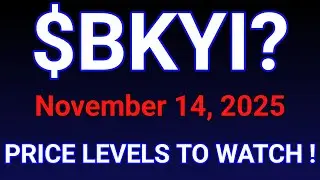 BKYI Stock (BIO-key International Inc.) BKYI Stock Analysis | November 14, 2025