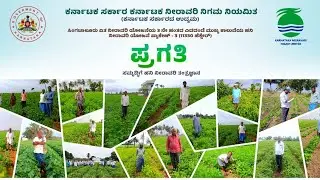 drip irrigation is a success key for mexican beans farmers! (must watch) #trending#kannada#gadag   
