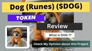 What is Dog (Runes) (DOG) Coin | Review About DOG Token