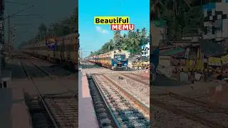 Beautiful MEMU arrival at station 🚉 #shortvideo #shorts