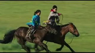Cavallo Human