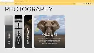 How to Create Expandable Cards on Hover with HTML & CSS | CSS Flexbox Tricks