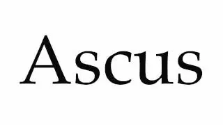 How to Pronounce Ascus