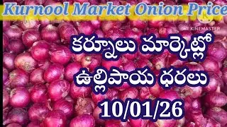 10 January 2026| Today onion price Kurnool | Kurnool market Rate | Kurnool onion price today 