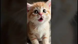 🇺🇸🫶 Adorable cat video shorts YouTube 💯🇺🇸#aiavatarcat _#cat