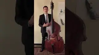 Cleaning and Maintenance of a Double Bass (upright bass)