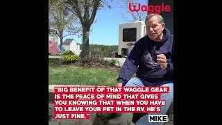 The Waggle Pet Monitor by Waggle II Temperature and Humidity Monitor for Pet Safety