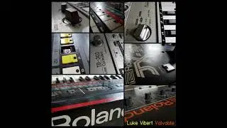 Luke Vibert - Sharon's Tone