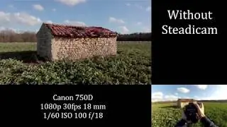 Without Steadicam VS With Steadicam - Neewer 24