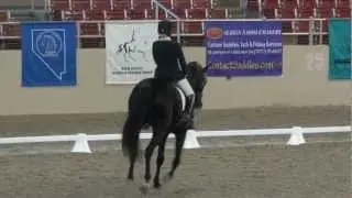 Wild Dancer & Kerstin Laudemann - CDS 2nd Level Freestyle - 2012 CDS Championship
