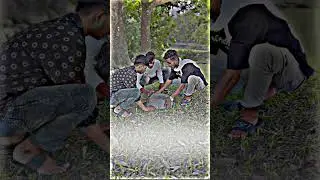 নাছা ভাই বিনোদনবন্ধু পাখি ধরছে | New Dramedy | Family Entertainment | T G GANG Official