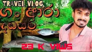 ගං ආරා දඩයම 🐟😲 |Hunting Big Aara Fish🐟 | @TravelFishing-YT