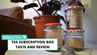 TEA SUBSCRIPTION BOX: Tea Turtle February unboxing and taste