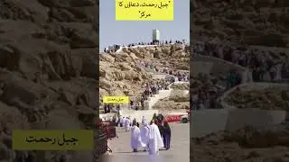 Mount Arafat Overflowing with Pilgrims | Jabal al-Rahmah Today