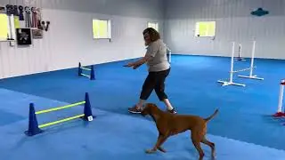 Never ACTJ1 Round B