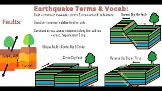 Earthquake & Seismology Unit Review: Vocab & Terms