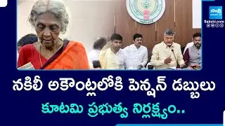 Pension Amount Deposits In Fake Accounts | AP Government Negligence In Deputy Treasurer Office