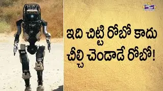 ROBO|Fruit Juice Reloaded