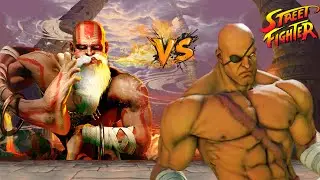 DALSIM VS SAGAT HARDEST BATTLE | STREET FIGHTER V