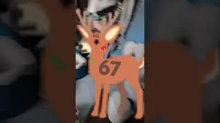 hrhd