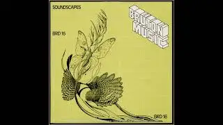 05 soundscape 5