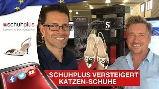 Schuhplus &ndash; Schuhe in &Uuml;bergr&ouml;&szlig;en zelebriert den Weltkatzentag