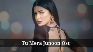 Tu Mera junoon ost ( WhatsApp status ) Sahir Ali bagga - its lyrics channel