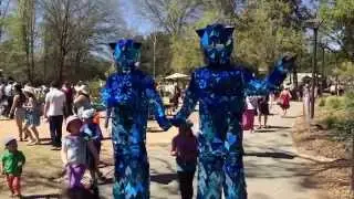 The Blue Dwarfs - Floriade - 3 October 2015 (2 minutes)
